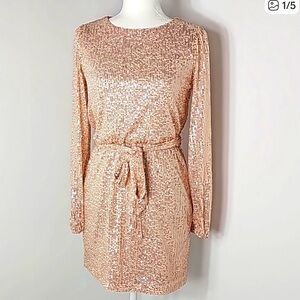 Crystal Sky
Crystal Sky Sequin Dress size Large